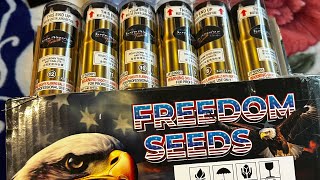 Intravenous- “Freedom Seeds” Proline canister shells Color break and Ti burst #9, #10, #11, #12