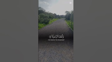 القرآن الكريم.قراءة هادئة #استغفرالله #راحة_نفسية #لايك #اكسبلور #تيك_توك #استغفار