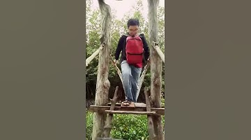 Trải nghiệm khu du lịch rừng sát Cần Gìơ