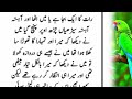Khaala Or Bhai An Emotional Heart Touching Story Moral Story In Urdu Love Story Sachi Kahani Khaala Or Bhai An Emotional Heart Touching Story Moral Story In Urdu Love Story Sachi Kahani