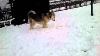 Snowfall 16 - 12 - 11.Mp4