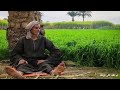 بعد ما سل مته روحى وعلى حياتى إئتمنته مربعات صعيدية بعد ما سل مته روحى وعلى حياتى إئتمنته مربعات صعيدية