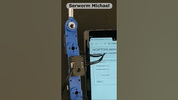 Robot vs. reCAPTCHA - is robo arm Serworm Michael a robot?