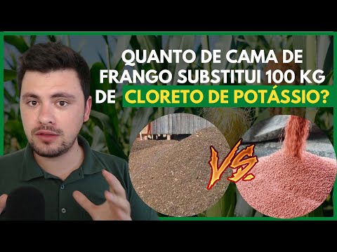 Vídeo: Qual é o preço do potássio por tonelada?