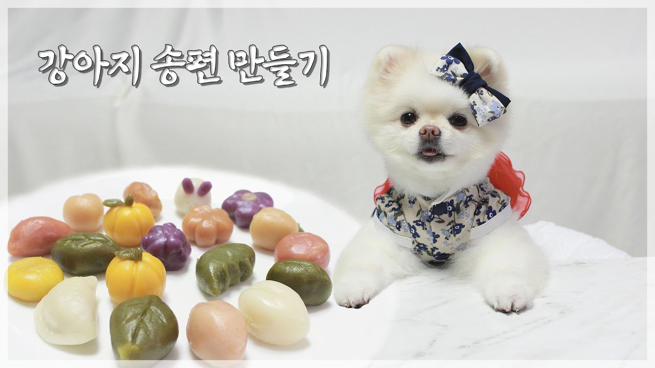추석맞이 강아지 송편 만들기ㅣ요리 초보자도 쉽게 따라할 수 있어요!