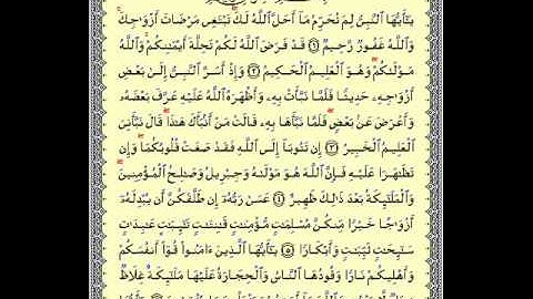 سورة التحريم .. بصوت الشيخ عمرو باكير.WMV