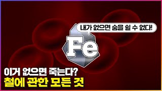 인간의 몸에 꼭 필요한 3g / 철(fe)의 모든 것