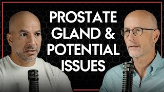 Common issues related to the prostate gland | Peter Attia & Ted Schaeffer