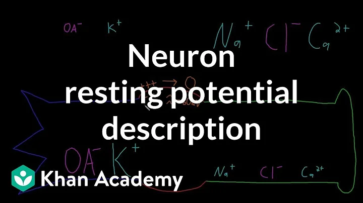 Neuron resting potential description | Nervous system physiology | NCLEX-RN | Khan Academy