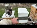 Indecision  building a bee business vlog 42