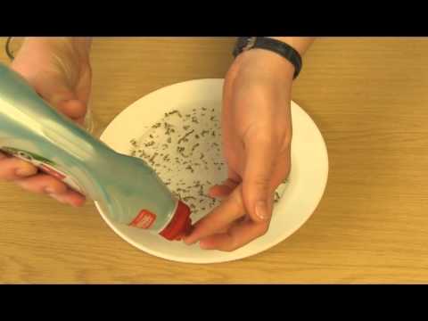 Moving pepper science demonstration - YouTube
