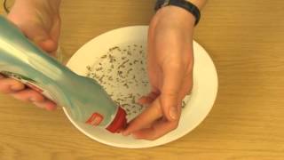 Moving pepper science demonstration