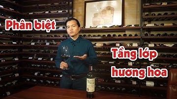 [Wine Lover] #10 - Cách phân biệt các tầng lớp hương hoa trong rượu vang