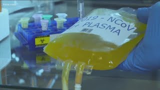 Convalescent plasma therapy shows hope as COVID-19 treatment | KVUE