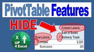 Hide Pivot Table features and drop down to make your PivotTable Look Good