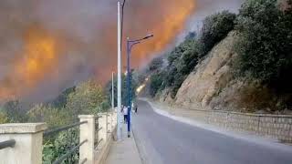 غابات#تيزي_وزو تحترق ب#الجزائر