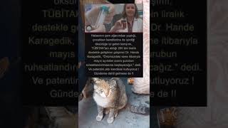“Çam Ağacından Şuruba: Dr. Hande Karagedik’in TÜBİTAK Destekli Başarısı! #shorts”
