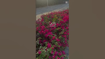 أكتب شيء تؤجر عليه القارئ ياسر الدوسري