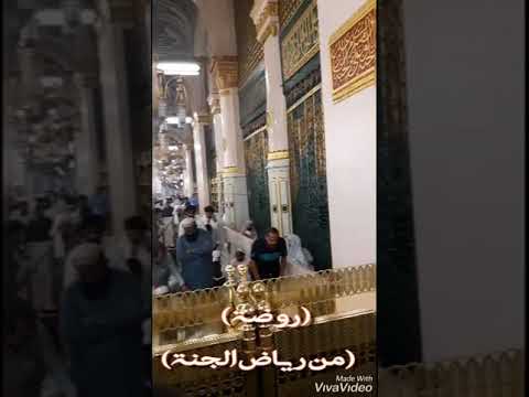 روضة من رياض الجنة