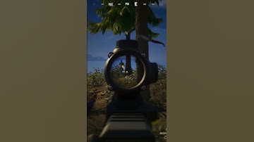 When did they add bots to diamond ranked?