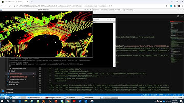 Real Point Cloud Data _Voxel Grid Filtering