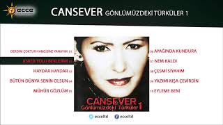 Asker Yolu Beklerim - Cansever Resimi