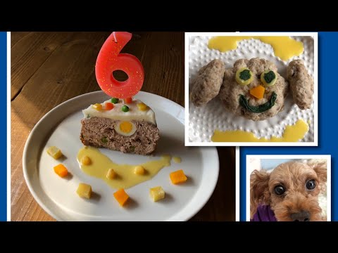 愛犬の誕生日プレート 犬用ケーキ 作り方 Birthday Cake For Dog 593 Youtube