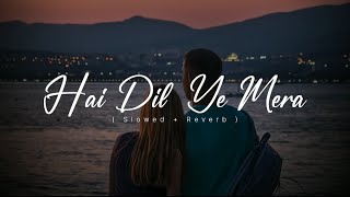 Arijit Singh - Hai Dil Ye Mera (slowed+reverb) Lyrical video