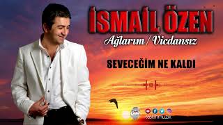 İsmail  Özen  / Seveceğim Ne  Kaldı Resimi