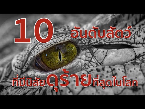 10 อันดับสัตว์ที่มีนิสัยดุร้ายที่สุดในโลก