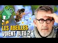 Comment les abeilles repèrent les fleurs qu'elles butinent ? 🐝 🌼