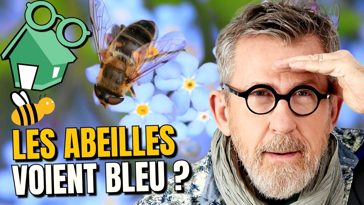 🐝 Comment les abeilles repèrent les fleurs qu'elles butinent 🌼