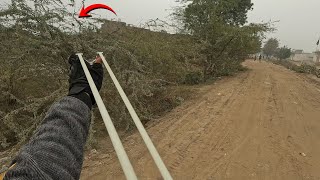 Compilatie van jachtfoto's met een katapult | Myna, spreeuw, waterhoen en duif | Foto's overdag e...