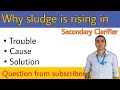 Sludge Rising in secondary Clarifier || poor settling || @ETP Knowledge Junction  || Sanjeet Rawat