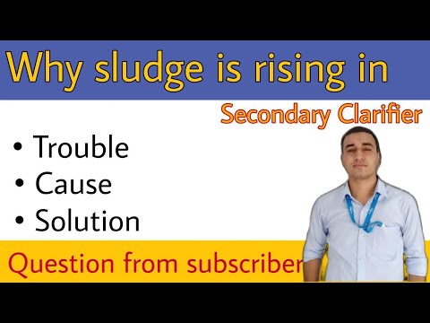 Why Sludge is Rising in secondary Clarifier || poor settling problem ...
