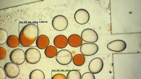 Real-time droplet detection and classification in a microchannel using deep neural network-part 2