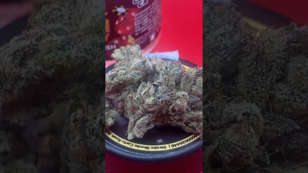MONTE CARLO ( jet fuel og x Paris og) indica kush 🔥🔥🔥 