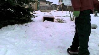 Snowskate throwaway