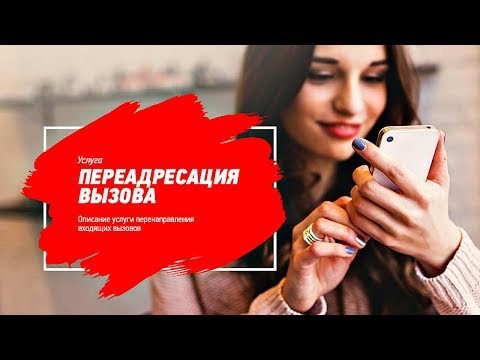 Video: Сериялык номерди кантип коюуга болот