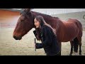 Vlog je veux un cheval wrarebeauty