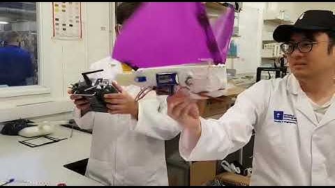 3D Printed Ornithopter