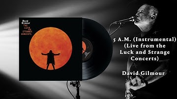 David Gilmour - 5 A.M. (Instrumental) (Live from the Luck and Strange Concerts)