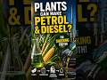 Biofuels Explained In 30 Seconds | #biofuels #Wised