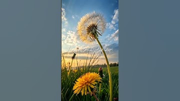سورة الكوثر صوت الشيخ عبد الباسط
