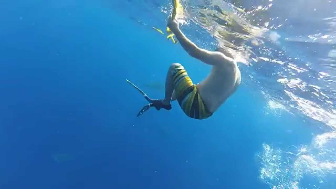 MICK ALFONSO SWIMMING WITH SHARKS WITH OCEAN RAMSEY AND JUAN OLIPHANT