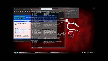 Backtrack 5 first tryout on vmware (network sniffing with ettercap)