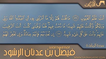 أأنت قلت للناس اتخذوني وأمي إلهين || من أجمل تلاوات القارئ فيصل الرشود