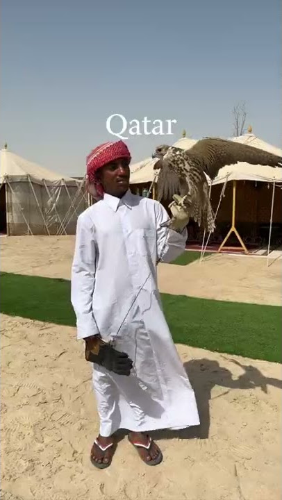 Here’s what you can expect on your trip to #Qatar 🇶🇦 ➡️🌊🏝☀️🏙🍽🛍🏢🕌✨