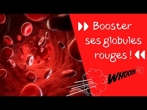 Vidéo: Surproduction De Globules Rouges Chez Le Chien