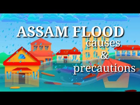 assam flood case study